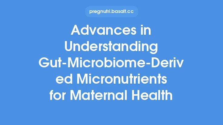 Advances in Understanding Gut‑Microbiome‑Derived Micronutrients for Maternal Health Thumbnail