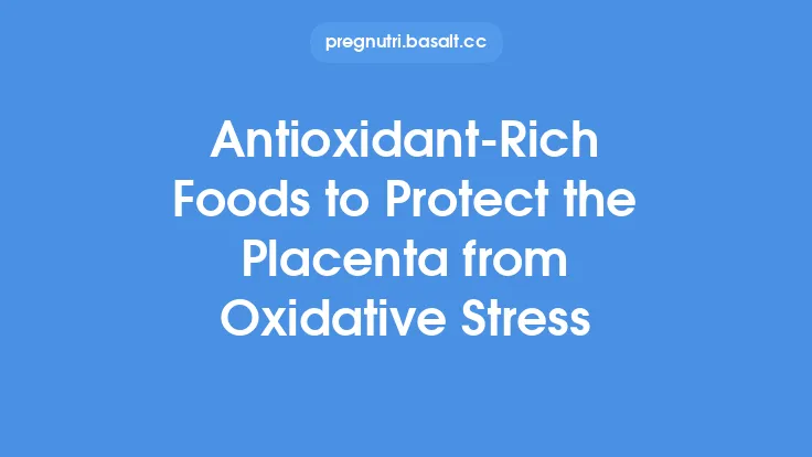 Antioxidant‑Rich Foods to Protect the Placenta from Oxidative Stress Thumbnail