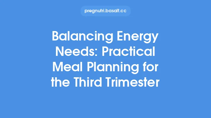 Balancing Energy Needs: Practical Meal Planning for the Third Trimester Thumbnail