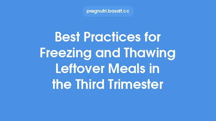 Best Practices for Freezing and Thawing Leftover Meals in the Third Trimester Thumbnail