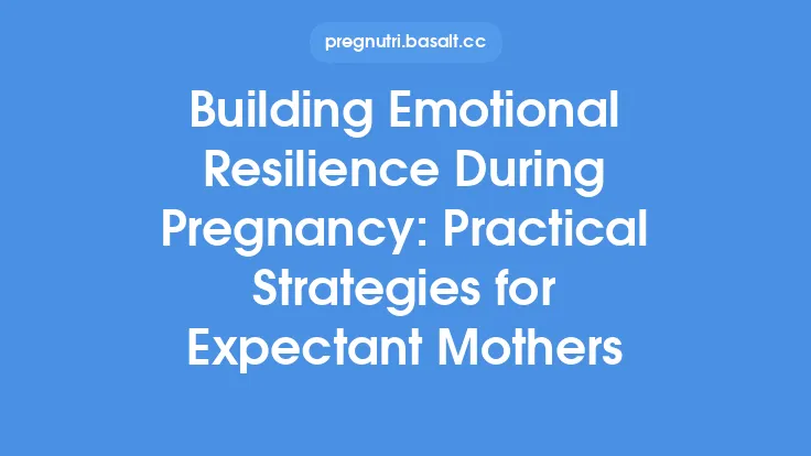 Building Emotional Resilience During Pregnancy: Practical Strategies for Expectant Mothers Thumbnail