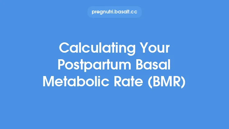 Calculating Your Postpartum Basal Metabolic Rate (BMR) Thumbnail