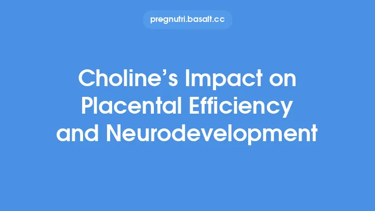 Choline’s Impact on Placental Efficiency and Neurodevelopment Thumbnail