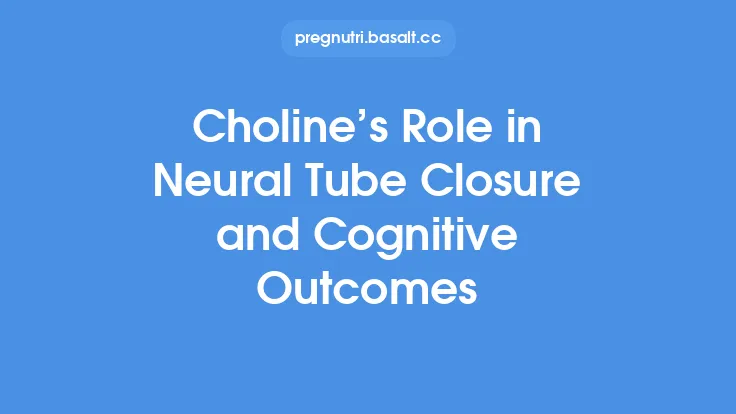 Choline’s Role in Neural Tube Closure and Cognitive Outcomes Thumbnail