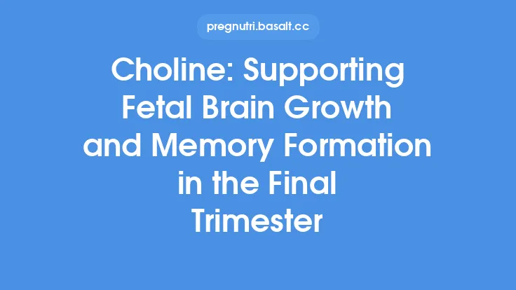 Choline: Supporting Fetal Brain Growth and Memory Formation in the Final Trimester Thumbnail