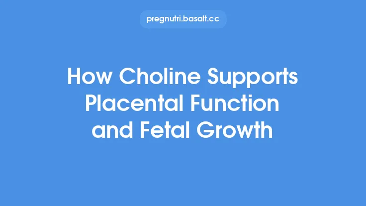 How Choline Supports Placental Function and Fetal Growth Thumbnail
