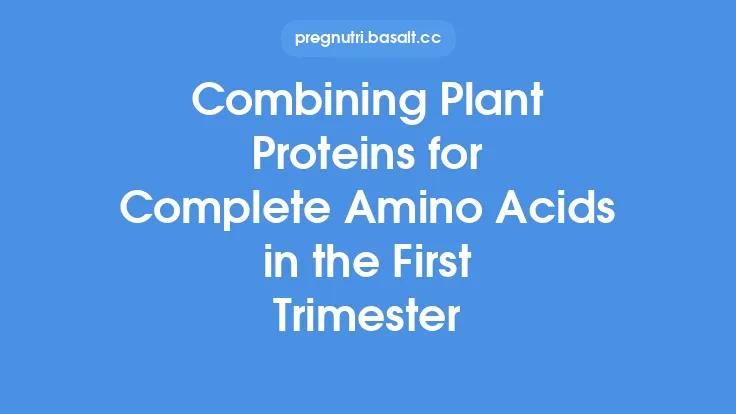 Combining Plant Proteins for Complete Amino Acids in the First Trimester Thumbnail
