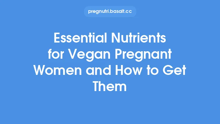 Essential Nutrients for Vegan Pregnant Women and How to Get Them Thumbnail