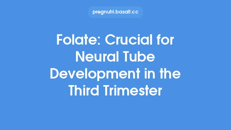 Folate: Crucial for Neural Tube Development in the Third Trimester Thumbnail