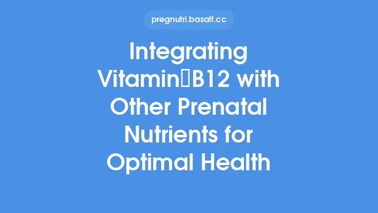 Integrating Vitamin B12 with Other Prenatal Nutrients for Optimal Health Thumbnail