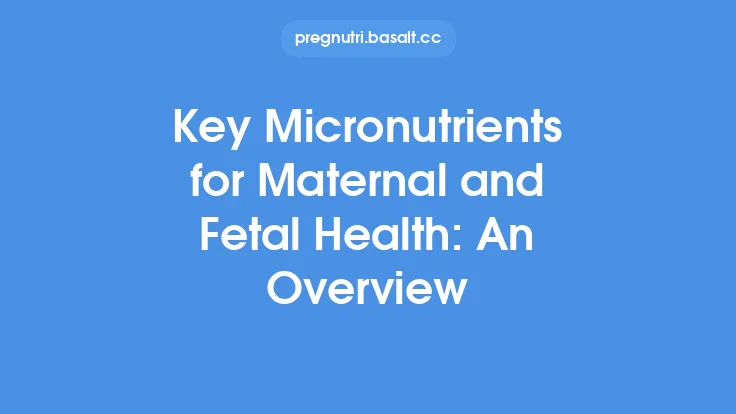 Key Micronutrients for Maternal and Fetal Health: An Overview Thumbnail