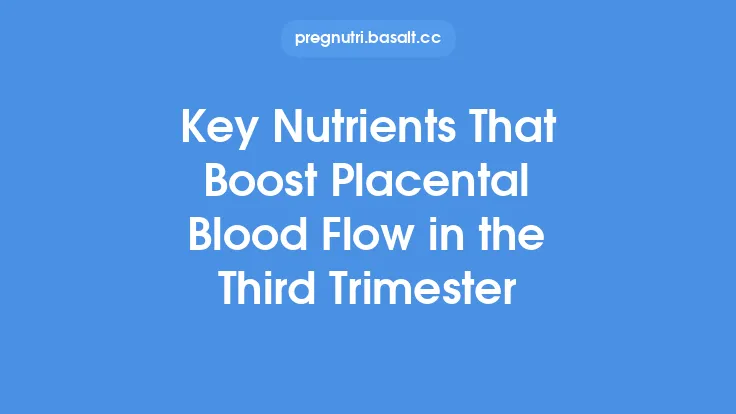 Key Nutrients That Boost Placental Blood Flow in the Third Trimester Thumbnail