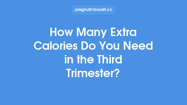 How Many Extra Calories Do You Need in the Third Trimester? Thumbnail