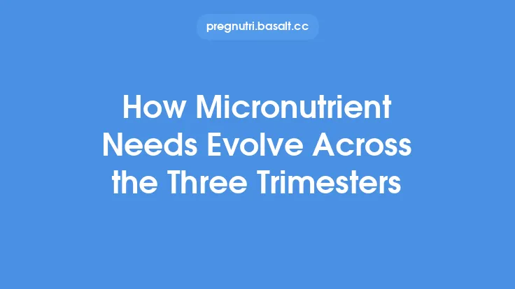 How Micronutrient Needs Evolve Across the Three Trimesters Thumbnail