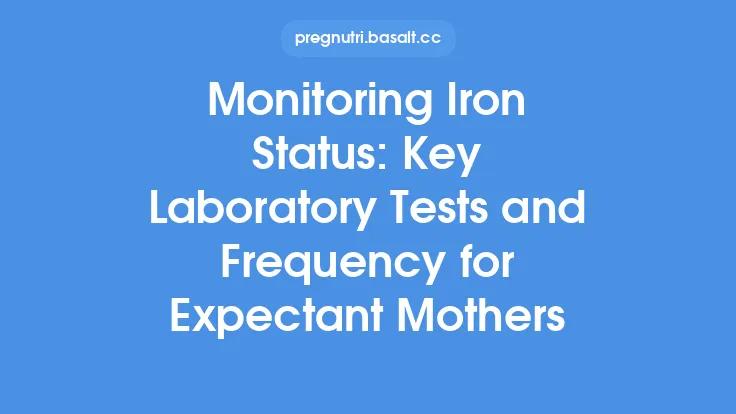 Monitoring Iron Status: Key Laboratory Tests and Frequency for Expectant Mothers Thumbnail