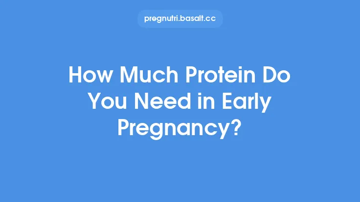 How Much Protein Do You Need in Early Pregnancy? Thumbnail