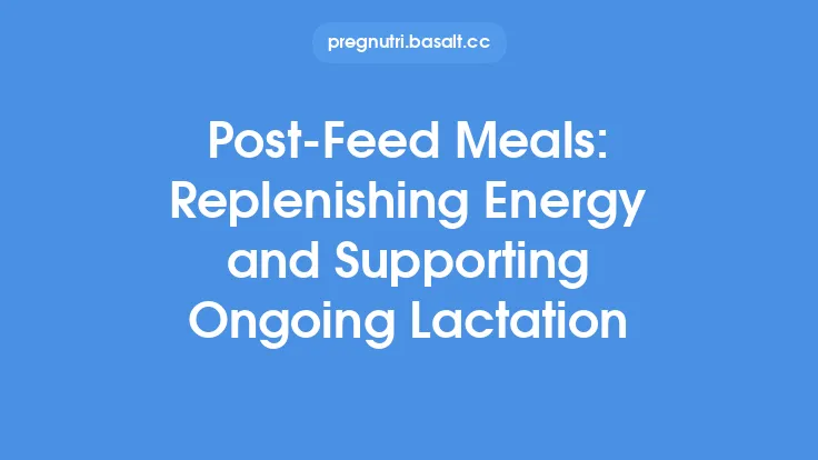 Post-Feed Meals: Replenishing Energy and Supporting Ongoing Lactation Thumbnail