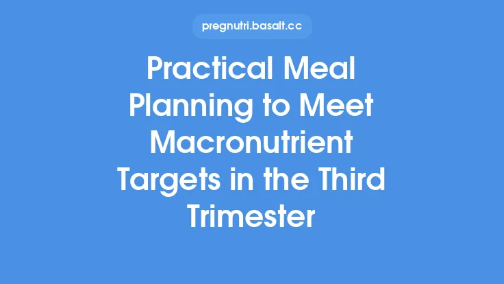 Practical Meal Planning to Meet Macronutrient Targets in the Third Trimester Thumbnail