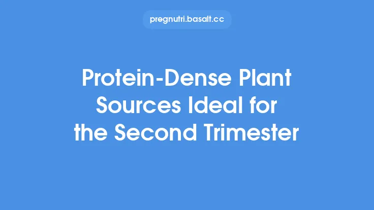 Protein‑Dense Plant Sources Ideal for the Second Trimester Thumbnail