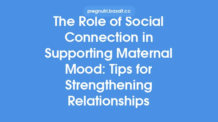 The Role of Social Connection in Supporting Maternal Mood: Tips for Strengthening Relationships Thumbnail