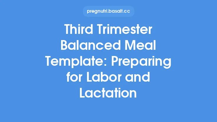 Third Trimester Balanced Meal Template: Preparing for Labor and Lactation Thumbnail