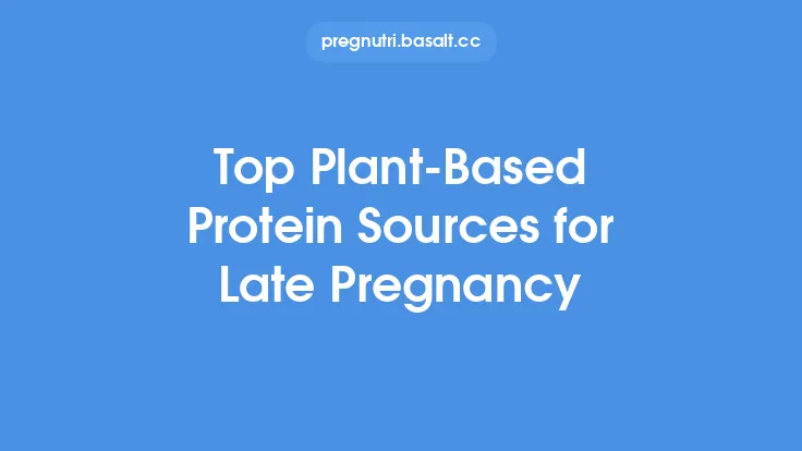 Top Plant‑Based Protein Sources for Late Pregnancy Thumbnail