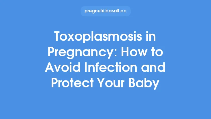 Toxoplasmosis in Pregnancy: How to Avoid Infection and Protect Your Baby Thumbnail