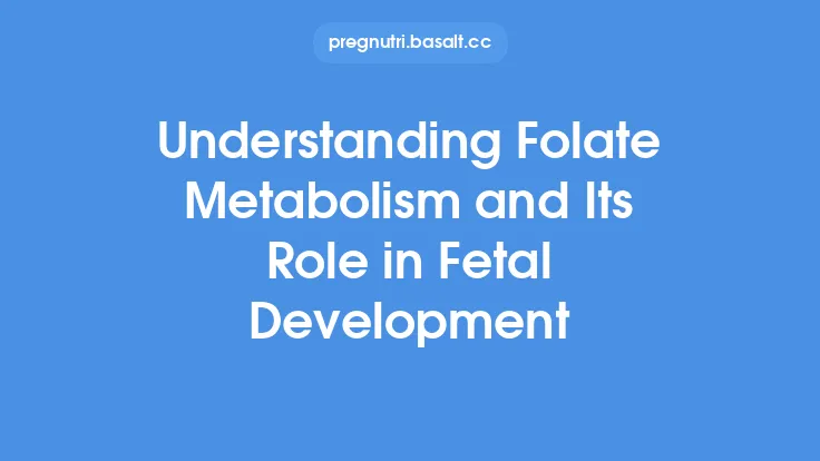 Understanding Folate Metabolism and Its Role in Fetal Development Thumbnail