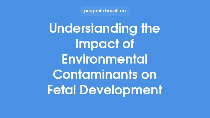 Understanding the Impact of Environmental Contaminants on Fetal Development Thumbnail