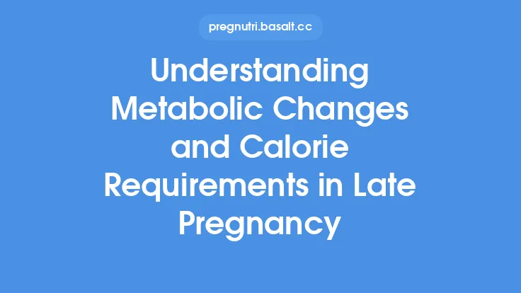 Understanding Metabolic Changes and Calorie Requirements in Late Pregnancy Thumbnail