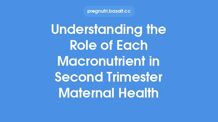 Understanding the Role of Each Macronutrient in Second Trimester Maternal Health Thumbnail