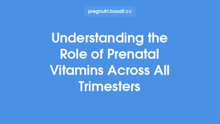 Understanding the Role of Prenatal Vitamins Across All Trimesters Thumbnail