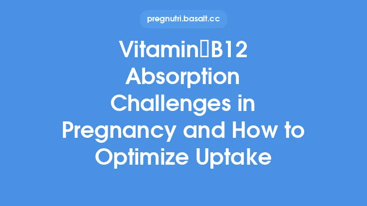 Vitamin B12 Absorption Challenges in Pregnancy and How to Optimize Uptake Thumbnail