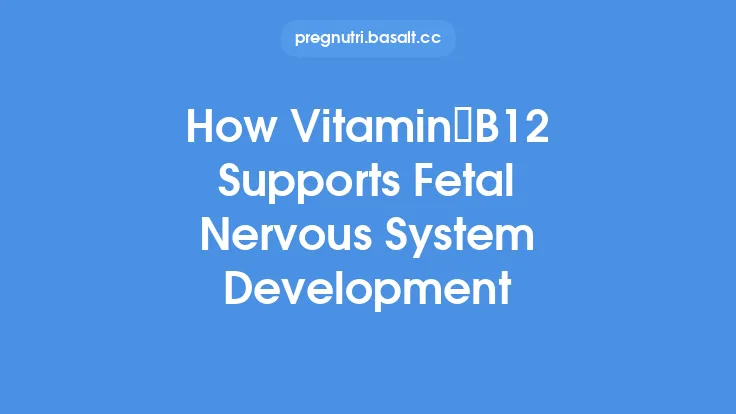 How Vitamin B12 Supports Fetal Nervous System Development Thumbnail