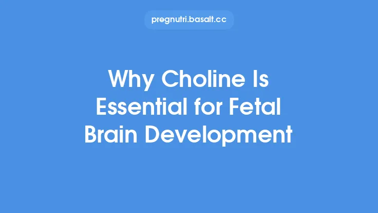 Why Choline Is Essential for Fetal Brain Development Thumbnail