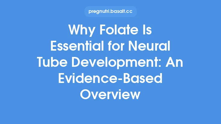 Why Folate Is Essential for Neural Tube Development: An Evidence‑Based Overview Thumbnail